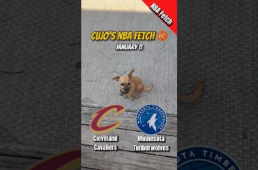 Cujo’s NBA Fetch | Cavaliers vs Timberwolves 🐕 01-08-2026 NBA Basketball
