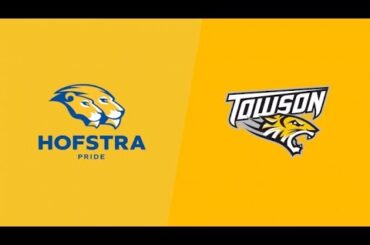 Hofstra vs Towson Basketball Free Live Stream | CAA Basketball
