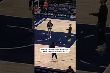 What can’t Ant do 🤯