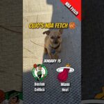 Cujo’s NBA Fetch | Boston Celtics vs Miami Heat 🐕 01-15-2026 NBA Basketball #CujoCatches