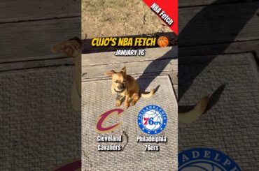 Cujo’s NBA Fetch | Cleveland Cavaliers vs Philadelphia 76ers 🐕 01-16-2026 NBA #CujoCatches