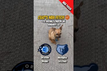 Cujo’s NBA Fetch | Orlando Magic vs Memphis Grizzlies 🏀 01-18-2026 NBA London UK #cujocatches
