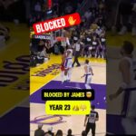 LeBron CHASE DOWN BLOCK 🍿