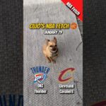 Cujo’s NBA Fetch | Oklahoma City Thunder vs Cleveland Cavaliers 🏀 01-19-2026 #CujoCatches