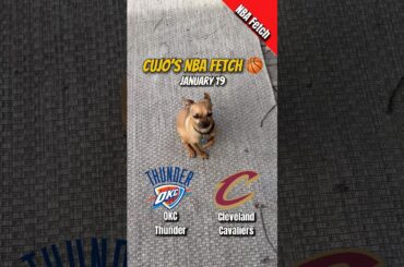 Cujo’s NBA Fetch | Oklahoma City Thunder vs Cleveland Cavaliers 🏀 01-19-2026 #CujoCatches