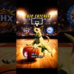 Cujo’s NBA Fetch | Phoenix Suns at Philadelphia 76ers 🏀 01-20-2026 #CujoCatches