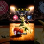 Cujo’s NBA Fetch | Atlanta Hawks at Memphis Grizzlies 🏀 01-21-2026 #CujoCatches