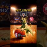 Cujo’s NBA Fetch | Suns at Hawks 🏀 01-23-2026 #CujoCatches