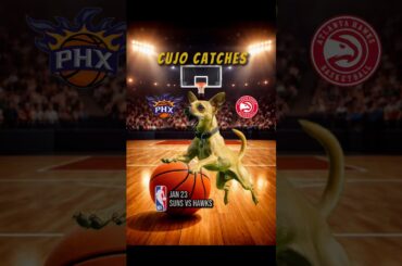 Cujo’s NBA Fetch | Suns at Hawks 🏀 01-23-2026 #CujoCatches