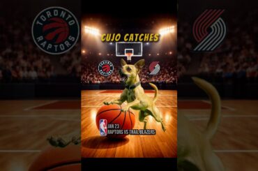 Cujo’s NBA Fetch | Raptors at Trail Blazers 🏀 01-23-2026 #CujoCatches