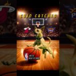 Cujo’s NBA Fetch | Heat at Suns 🏀 01-25-2026 | #DogPicks #CujoCatches