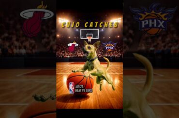 Cujo’s NBA Fetch | Heat at Suns 🏀 01-25-2026 | #DogPicks #CujoCatches