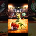 Cujo’s NBA Fetch | Trail Blazers at Celtics 🏀 01-26-2026 | #DogPicks #CujoCatches
