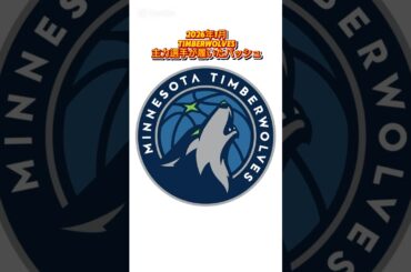 【視聴者リクエスト】新年Timberwolves主力選手が履いたバッシュまとめ #バッシュ #shorts #timberwolves
