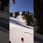 Utah Jazz fans join me for a real talk