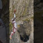 A world where the sky belongs to Bam Adebayo 🌍