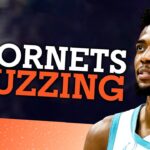 Was this the best week in Hornets history?
