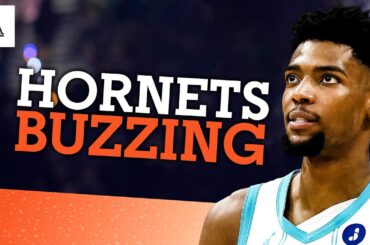 Was this the best week in Hornets history?