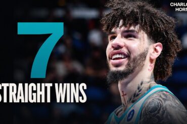 The Charlotte Hornets Are BUZZING! 🐝 | Top Plays