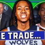 The Timberwolves just FLEECED the Bulls...