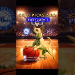 Cujo’s NBA Fetch | Philadelphia 76ers vs Phoenix Suns 🐕 02-07-2026 | NBA Picks #CujoCatches