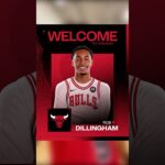 WTF Are The Chicago Bulls Doing?!