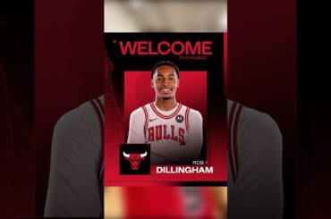 WTF Are The Chicago Bulls Doing?!