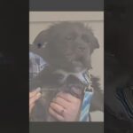 Didn't see that coming 🤯 #basketball