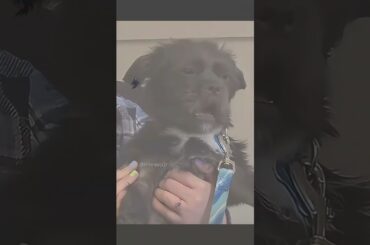 Didn't see that coming 🤯 #basketball