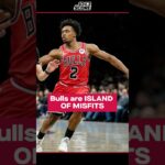 Bulls are a collection of misfits