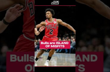 Bulls are a collection of misfits