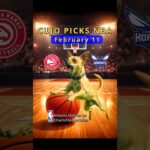 Cujos NBA PICKS | Atlanta Hawks vs Charlotte Hornets 🐕 02-11-2026 #CujoCatches