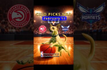 Cujos NBA PICKS | Atlanta Hawks vs Charlotte Hornets 🐕 02-11-2026 #CujoCatches