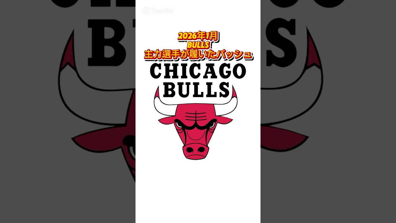 新年Bulls主力選手が履いたバッシュまとめ #バッシュ #shorts #Bulls