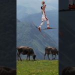 Davion Mitchell sends Jaime Jaquez on Vacation! #nba #nbabasketball #miamiheat