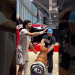 A preview of tonight