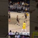 O REI DE NOVA YORK! 👑 LeBron James AMASSOU os Nets com 25 Pontos! #basquete #nba #highlights #viral