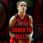 Mac McClung to The Bulls #nba #basketball #shorts #recommended