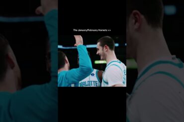 buzz city, your hornets are back