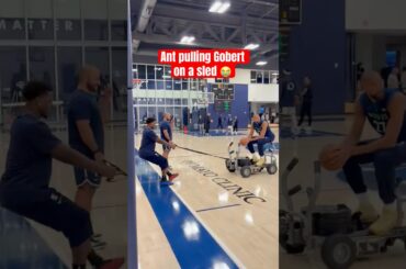 Anthony Edwards giving Gobert a ride 😂 (via ChristopherHine/X)