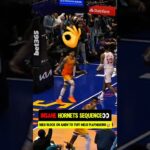 LaMelos Hornets a PURE CINEMA😭