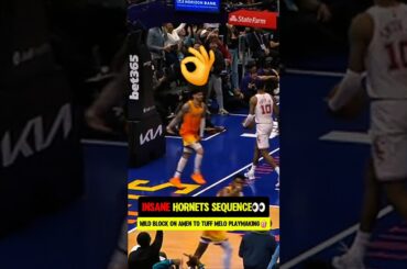 LaMelos Hornets a PURE CINEMA😭