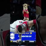 Christian and Scooby puttin' on a show 🍿 #dog #entertainment #shorts #nba #comedy