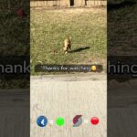 Cujo’s NBA PICKS | Timberwolves vs Trail Blazers 🐕 02-24-2026 #CujoCatches