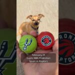Cujo’s NBA PICKS | San Antonio Spurs vs Toronto Raptors 🐕 02-25-2026 #CujoCatches