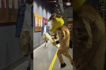 Hold your horses, Rocky!