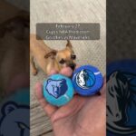 Cujo’s NBA Picks | Memphis Grizzlies vs Dallas Mavericks 🏀 02-27-2026 #CujoCatches