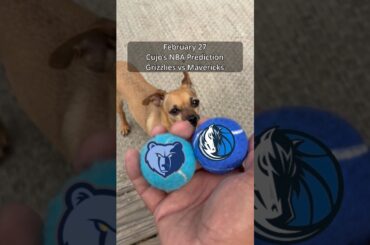Cujo’s NBA Picks | Memphis Grizzlies vs Dallas Mavericks 🏀 02-27-2026 #CujoCatches