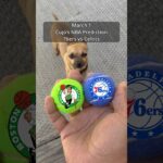 Cujo’s NBA Picks | Philadelphia 76ers vs Boston Celtics 🏀 03-01-2026 #CujoCatches