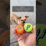 Cujo’s NBA Picks | San Antonio Spurs vs New York Knicks 🏀 03-01-2026 #CujoCatches